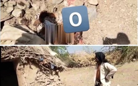 مؤسسة تهامة للحقوق والحريات تدين الجريمة الحو..ثية الوحشية بحق المواطنة زينب علي جناح...