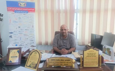 الهيئة العامة لمصائد البحر العربي تطلق خطة تاريخية لتطوير القطاع السمكي عبر مشاريع كبرى بدعم دولي