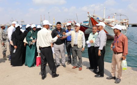 اختتام ورشة العمل الوطنية الخاصة بإعداد خطة العمل الوطنية للحد من الصيد غير القانوني وغير المنظم في اليمن