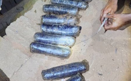 كتيبة حماية وأمن منفذ الوديعة تُحبط تهريب 24 كيلوغراماً من الحشيش المخدر كانت في طريقها إلى السعودية....