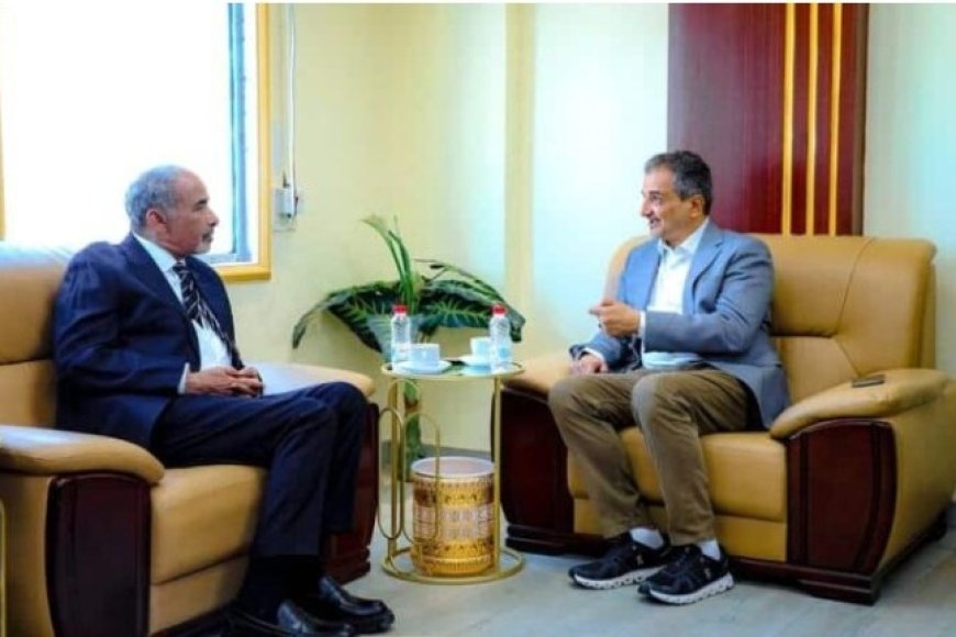 دعم مجلس القيادة الرئاسي لتعزيز الاستقرار في عدن وتحسين الخدمات الأساسية