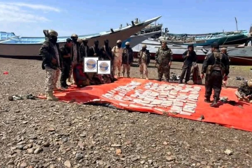 قوات العمالقة الجنوبية تضبط 600 ألف حبة كبتاجون قرب باب المندب