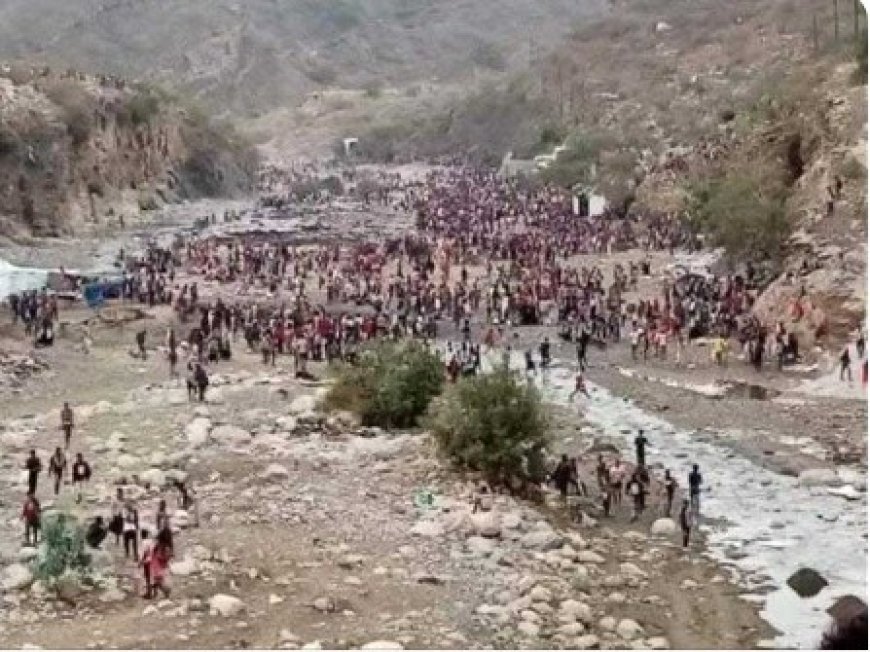 مهاجرون أفارقة يسيطرون على قرى حدودية يمنية وسط غياب أمني...