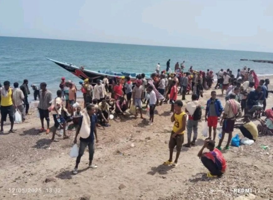 تدفّق جديد لـ255 مهاجراً إفريقياً إلى سواحل شبوة...