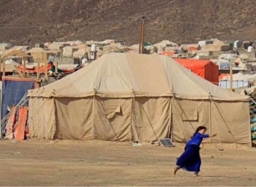 نداء استغاثة لإنقاذ نازحي مأرب من برد الشتاء القارس...