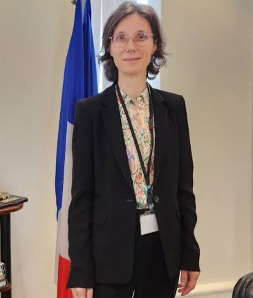 دعم فرنسي متجدد للحكومة اليمنية والإصلاحات الاقتصادية...