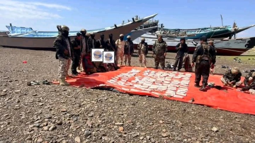 قوات العمالقة الجنوبية تحبط تهريب 600 ألف حبة كبتاجون قرب باب المندب...