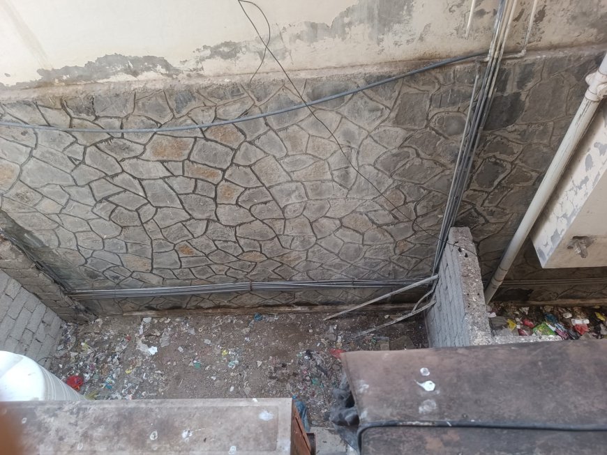 الناشط السياسي عارف ناجي علي:يثمّن استجابة سلطات المعلا لرفع المخلفات ويطالب بإجراءات رادعة لوقف رمي القمامة من النوافذ