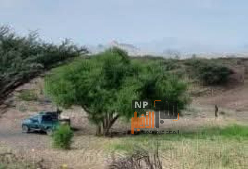 عاجل:توتر أمني كبير في الوازعية بين قوات تابعة لطارق صالح وأفراد قبيلة المشاولة(تفاصيل أولية )