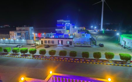 عدن..إعادة سلحفاة خضراء مهددة بالانقراض إلى موطنها بساحل أبين(صور)