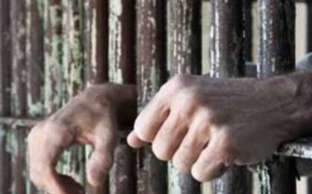 مركز أمريكي يطالب الحو...ثيين بالإفراج عن جميع  المعتقلين السياسيين...