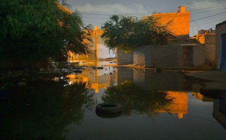 كارثة بيئية تهدد سكان الممدارة في عدن: مياه الصرف الصحي تحاصر منازل حي ملقاط(صورة)