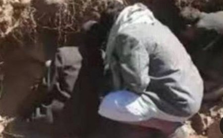 اكتشاف مدفن قديم في ذمار يفتح ملف اختفاء شيخ بوصاب العالي...