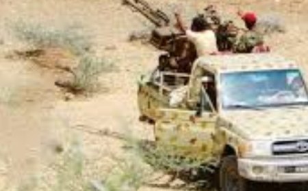 القوات المسلحة  الجنوبية تلحق بعناصر إرهابية خسائر فادحة في شبوة ...