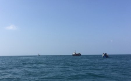 لواء العمالقة يضبط قارب تهريب قبالة ساحل رأس عمران ...