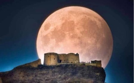 بعيدةٌ؛ لكنها الأشواق تقريب ....