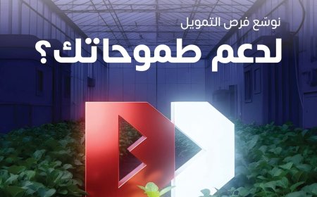 بنك بن دول للتمويل الأصغر الإسلامي ينضم إلى شبكة اليمن للتمويل الأصغر ويعزّز شراكاته الإقليمية عبر «سنابل»