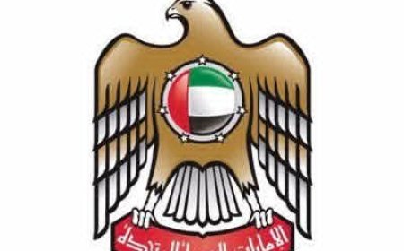 عاجل : اول تعليق لدولة الإمارات  بشأن التطورات في #اليمن(بيان هام)