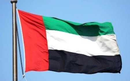 اكاديمي اماراتي :  الإمارات لا تتخلى عن حلفائها وتدعمهم سياسياً وعسكرياً...