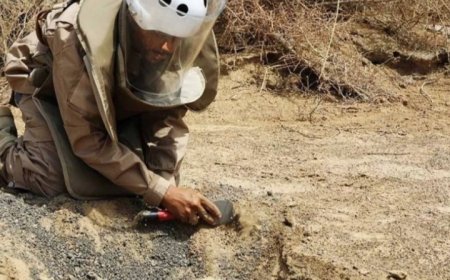 "مسام يعلن نزع 3491 لغم وعبوة ناسفة خلال ديسمبر"....