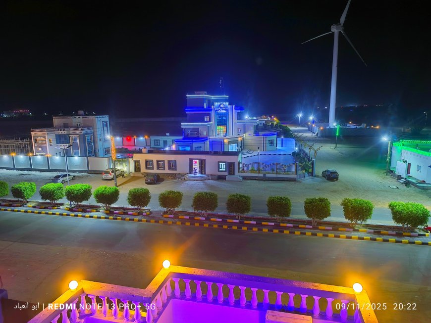 عدن..إعادة سلحفاة خضراء مهددة بالانقراض إلى موطنها بساحل أبين(صور)