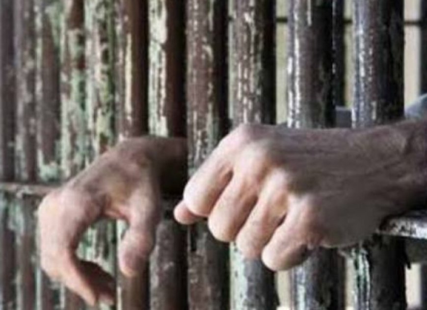 مركز أمريكي يطالب الحو...ثيين بالإفراج عن جميع  المعتقلين السياسيين...