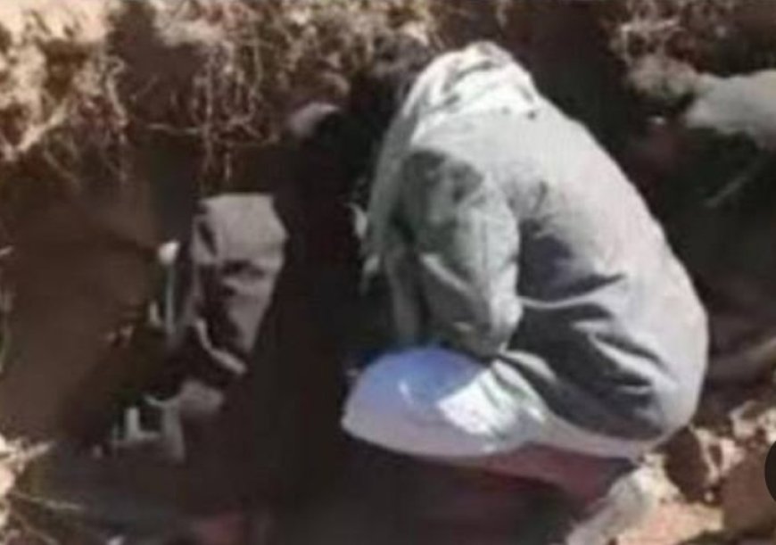 اكتشاف مدفن قديم في ذمار يفتح ملف اختفاء شيخ بوصاب العالي...