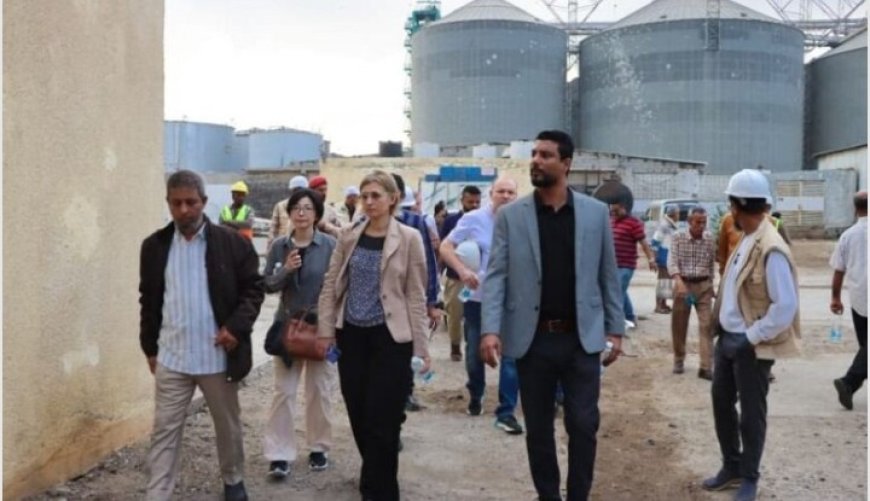 وفد من البنك الدولي يزور منظومة الصيد في مركز الدوكيارد في العاصمة عدن...