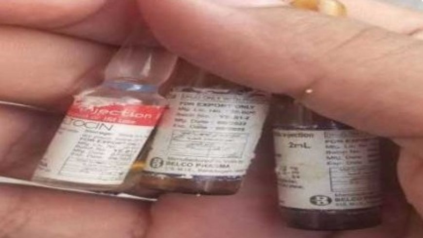 إحراق أدوية تالفة بسائلة التحرير يثير مخاوف صحية بتعز...