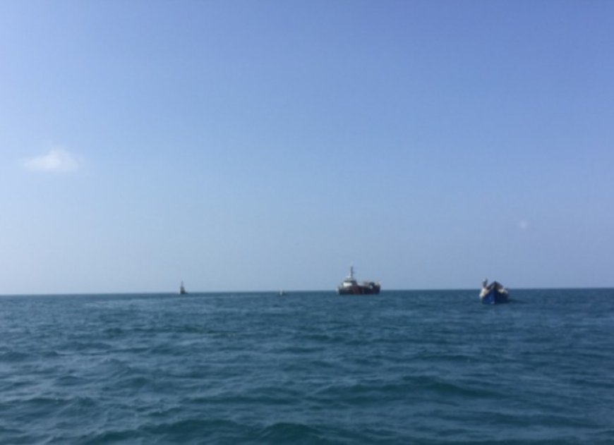 لواء العمالقة يضبط قارب تهريب قبالة ساحل رأس عمران ...