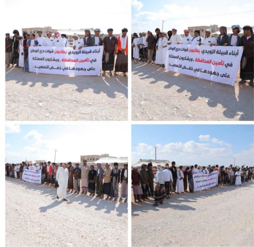 قبائل المهرة تعقد مخيمًا قبليًا في الغيضة وترفض الزج بالمحافظة في الصراع