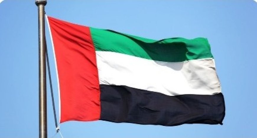 اكاديمي اماراتي :  الإمارات لا تتخلى عن حلفائها وتدعمهم سياسياً وعسكرياً...