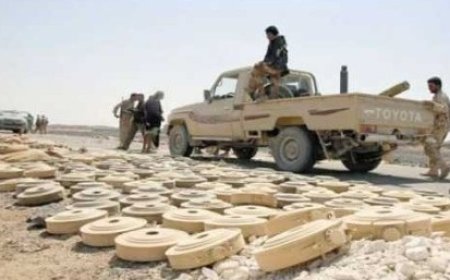 تفجير مخلفات ألغام في لحج خلال الأيام المقبلة.....