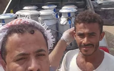 جمعيات الحليب بتهامة تتهم الحو...ثيين بقتل مشروع الألبان.....