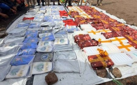 احباط تهريب ربع طن مخدرات قبالة باب المندب...