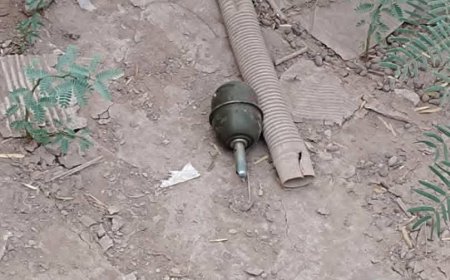 عاجل:القبض على شاب ألقى قنبلة داخل حوش السجن المركزي في لحج 