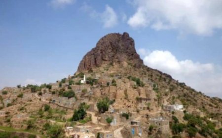 مشايخ حمادة في الضالع يحذّرون من كارثة إنسانية وشيكة في جبل الهَجر ...