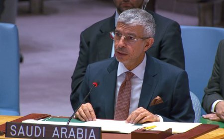 عاجل..المندوب السعودي لدى مجلس الأمن الدولي : تحركات المجلس الانتقالي في حضرموت والمهرة أحادية وتهدد الأمن الوطني