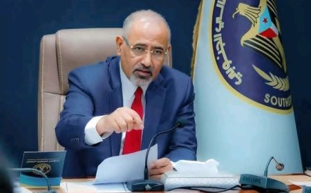 هاني بن بريك يؤكد أن الزبيدي لا يزال في اليمن....