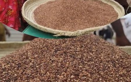 الحديدة  تستعد لانطلاق فعالية المهرجان الثالث للسمسم اليمني في 30 يناير 2026م في حيس....