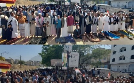 وقفة حاشدة في تعز تطالب باستكمال التحرير وتوحيد رواتب الجيش....