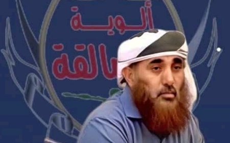 إدانات دولية لهجوم استهدف موكب القائد حمدي شكري ....