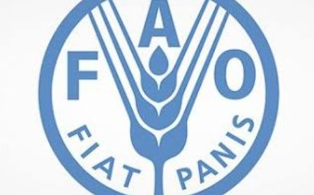 تحذير أممي من صقيع وجفاف يهددان الزراعة في اليمن.....