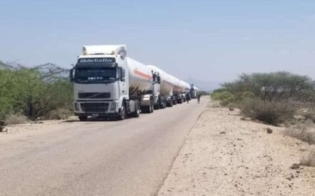 قوات الأمن العام والأمن الوطني في أبين يرفع قطاع مسلح ...