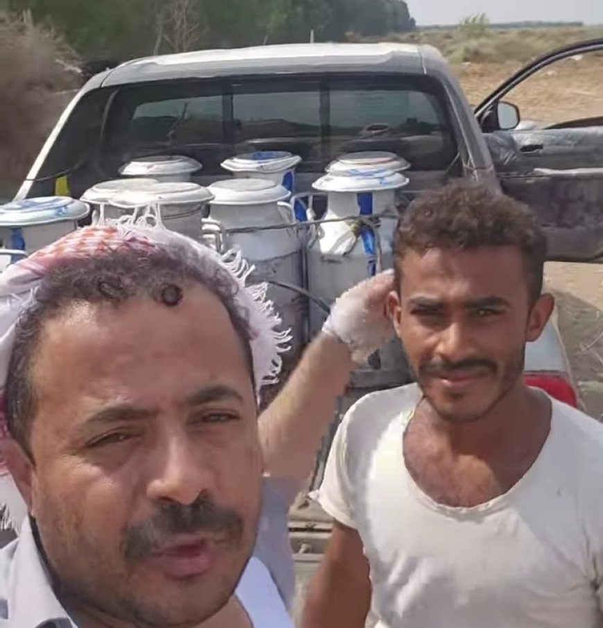 جمعيات الحليب بتهامة تتهم الحو...ثيين بقتل مشروع الألبان.....