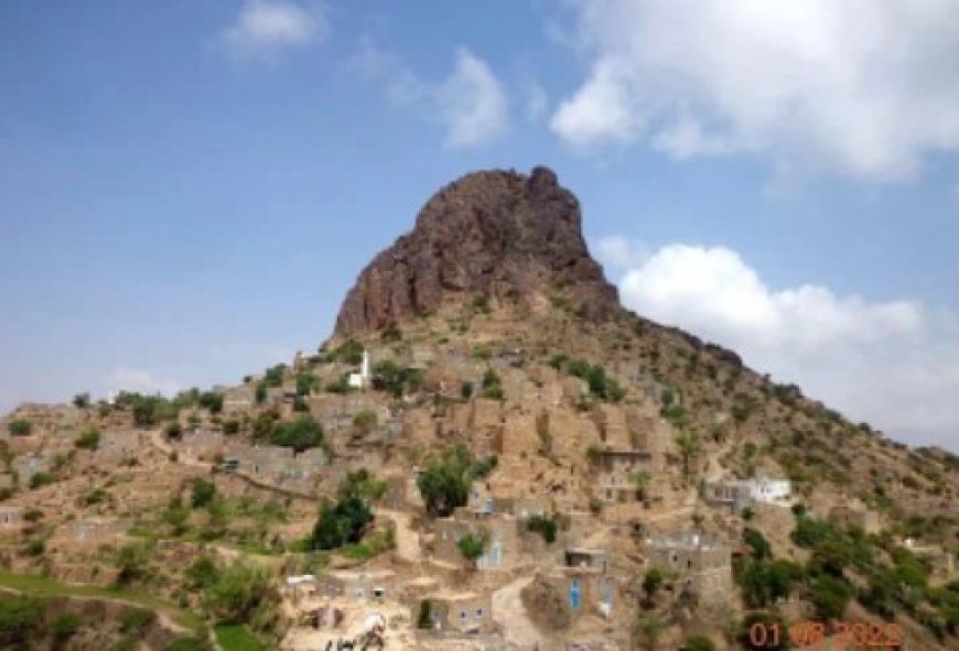 مشايخ حمادة في الضالع يحذّرون من كارثة إنسانية وشيكة في جبل الهَجر ...