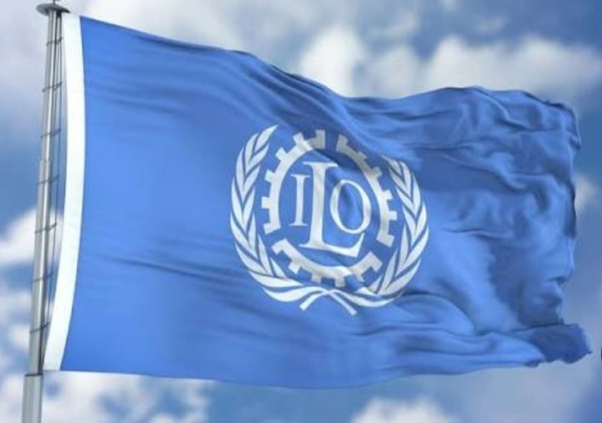 تقرير دولي: اليمن ضمن 10 بؤر ساخنة للجوع في 2026م...