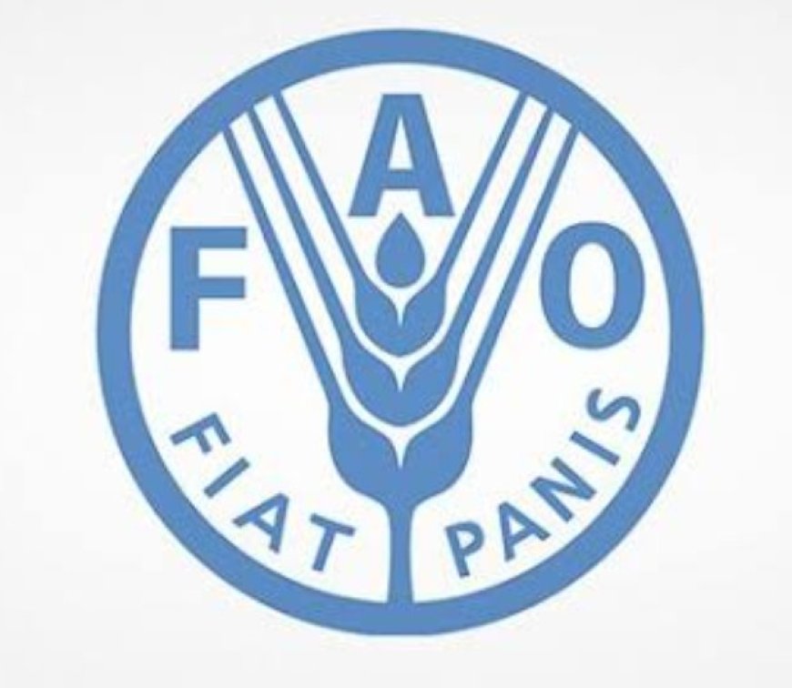 تحذير أممي من صقيع وجفاف يهددان الزراعة في اليمن.....