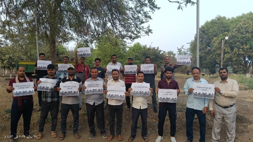 *مستحقات مالية وحقوق أكاديمية للطلبه اليمنيين المبتعثين بالخارج أمام حكومة الدكتور شائع محسن الزنداني*