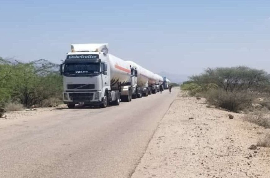 قوات الأمن العام والأمن الوطني في أبين يرفع قطاع مسلح ...